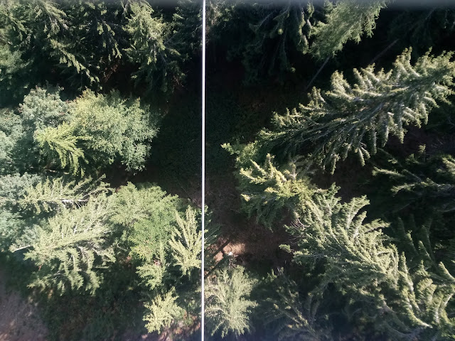 Medienaussendung Saltatio Mortis Versengold Am 24 07 2015