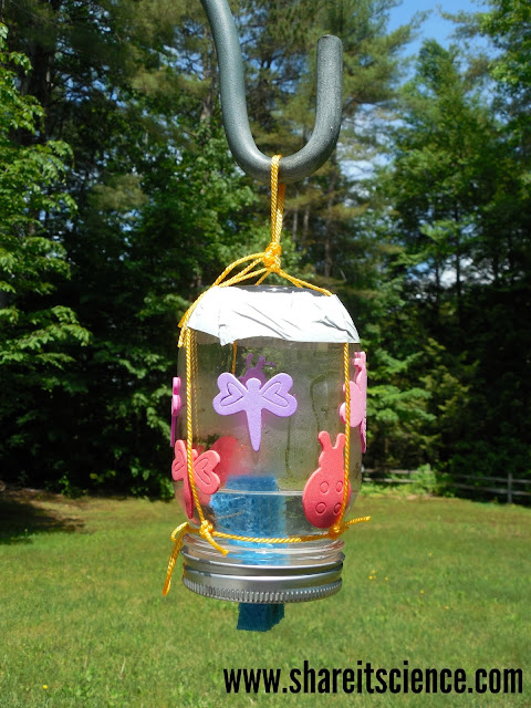 DIY Build Your Own Butterfly Feeder