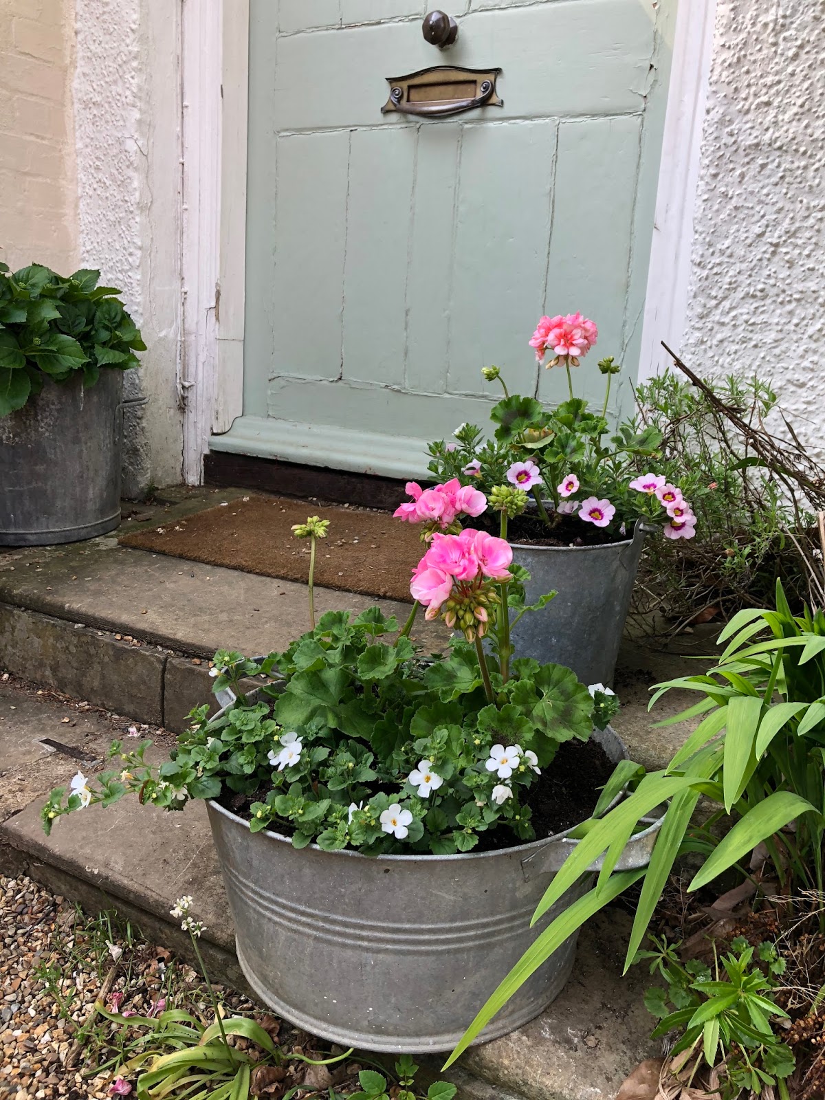 Garden // Spring Planting {with Sarah Raven} Roses and Rolltops