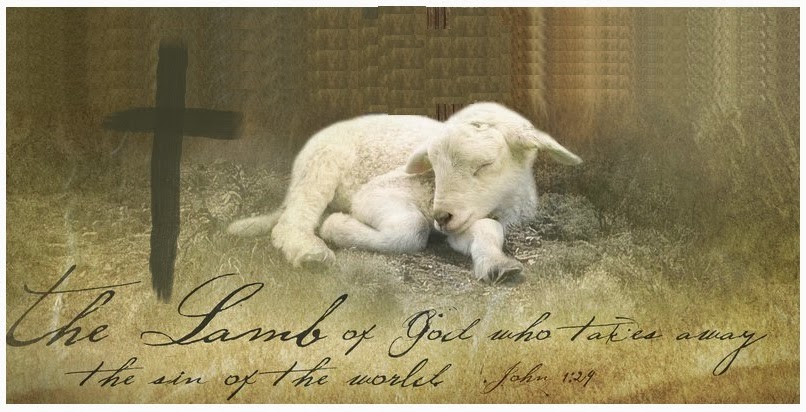 Behold the Lamb of God Which Taketh Away the Sin of the World. - Grace ...