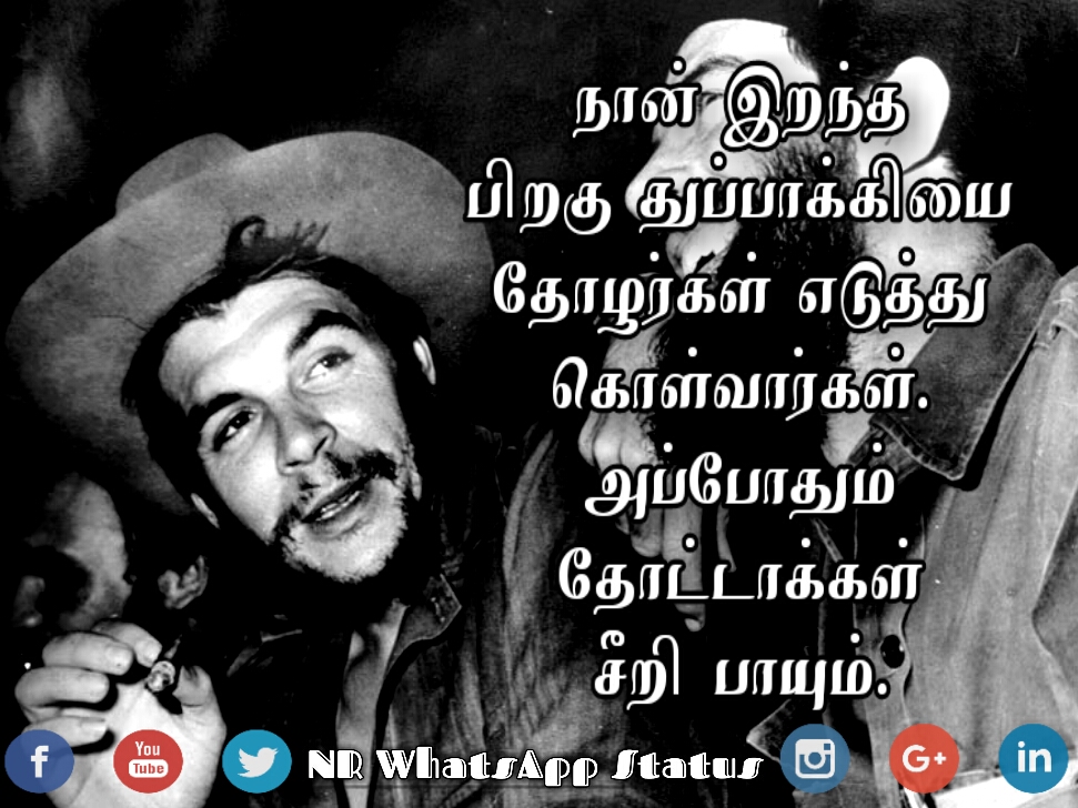 Che Guevara Quotes Tamil / Pin On Anything / 184 quotes from ernesto