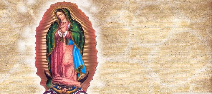 La virgen de Guadalupe para portada - Imagui