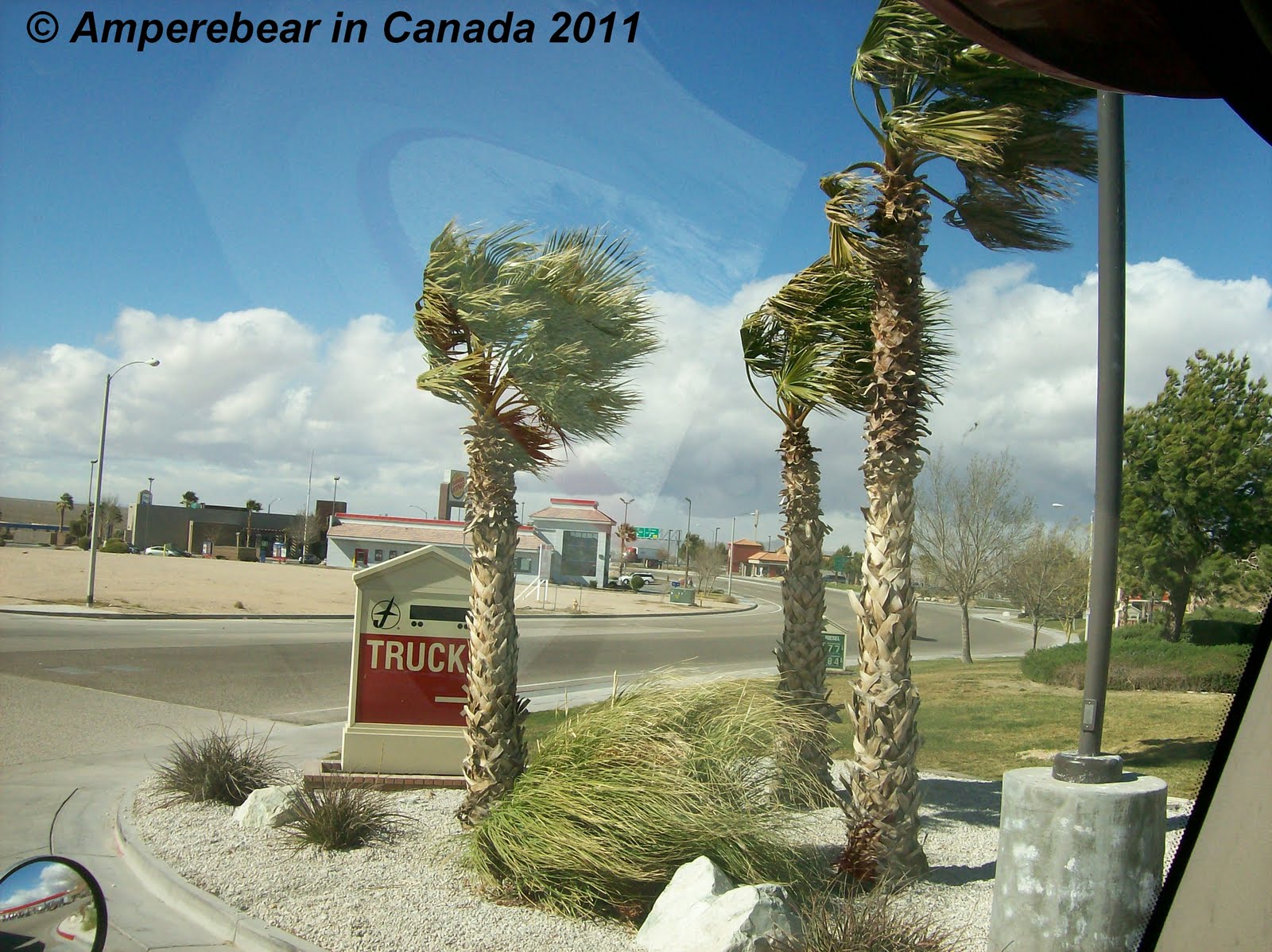 Amperebear in Canada Spock an Bruecke Kruemelmonster faehrt Benz