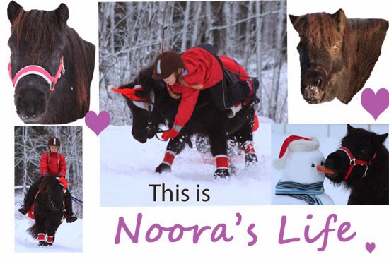 Noora's Life