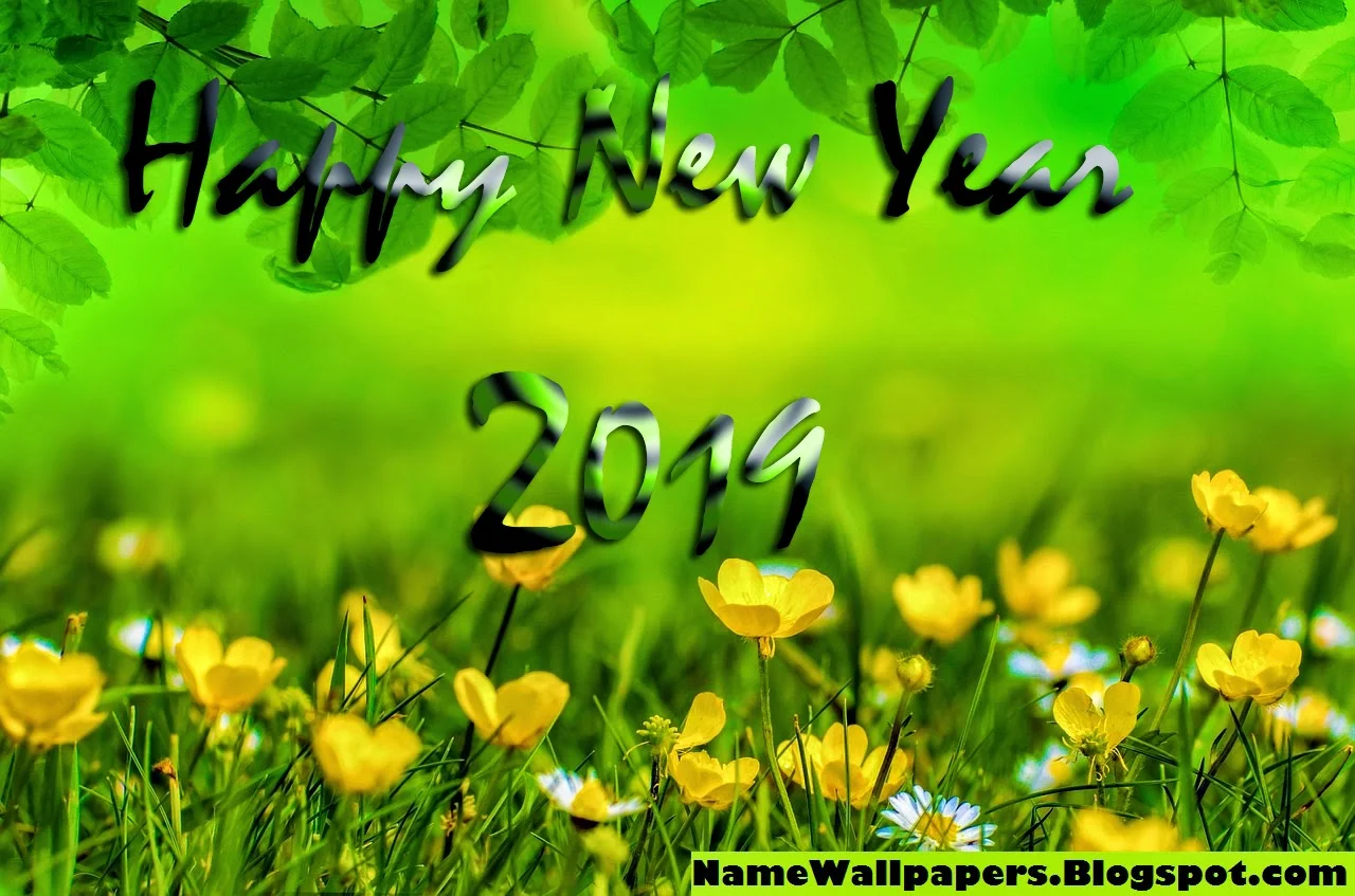 Happy New 2019 New Year Images and Wallpapers Download