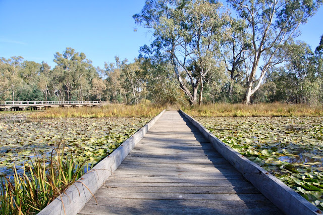 Tahbilk Winery, Nagambie Tahbilk Winery, Nagambie