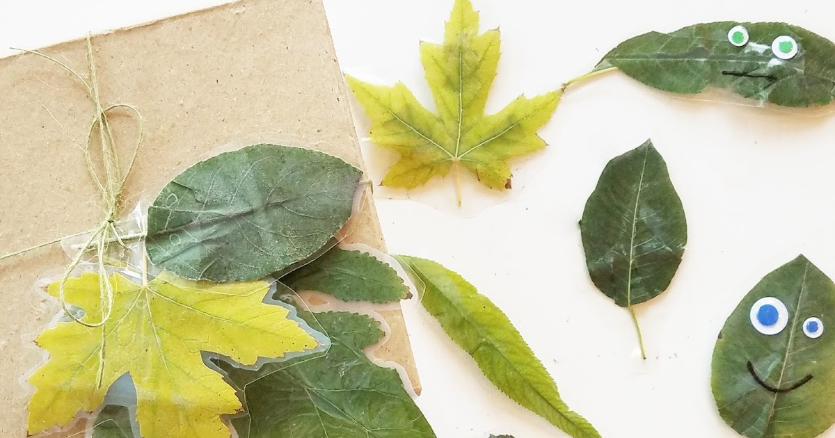 Erin Reed Makes 4 Fun Ways to Use Laminated Leaves