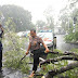 Polisi Baik ini Rela Hujan-hujan Bertelanjang Kaki Menyingkirkan Pohon Tumbang