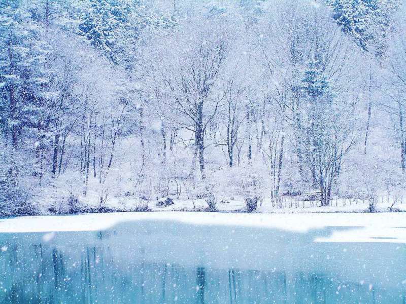 Nature Wallpaper Free Download Nature Wallpaper Free Download