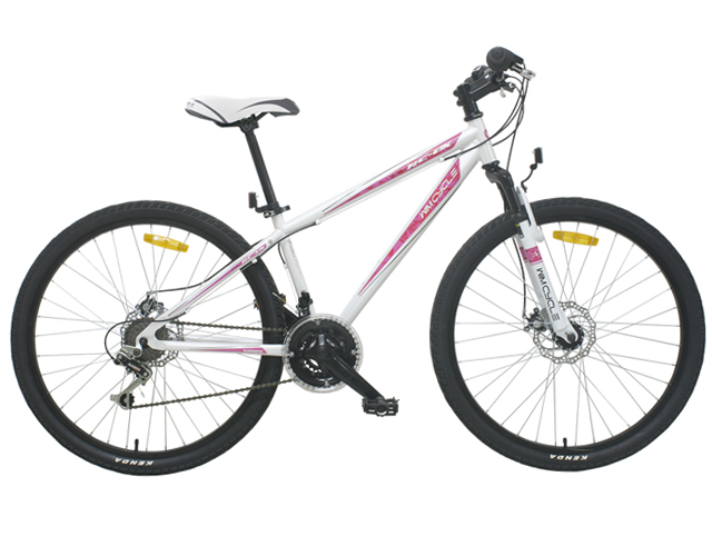 Ride My Bicycle: WIM CYCLE MTB Roadchamp DX Lady