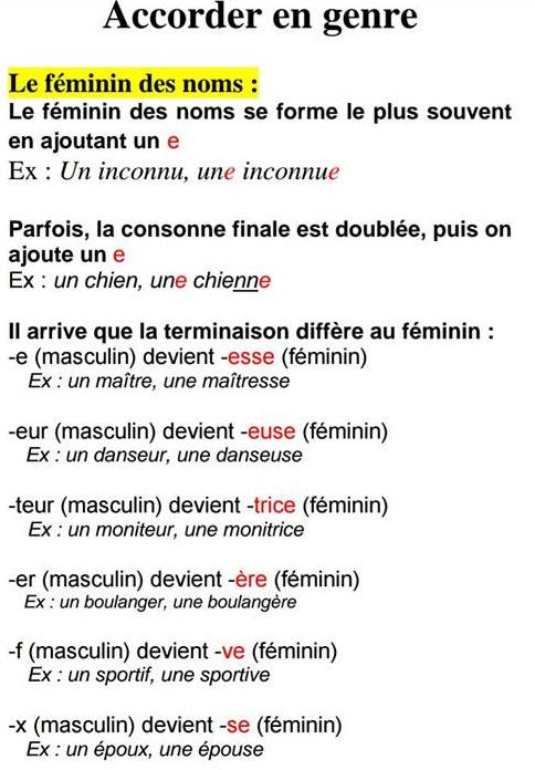 Rzeczowniki rodzaju męskiego i żeńskiego - gramatyka 6 - Francuski przy kawie