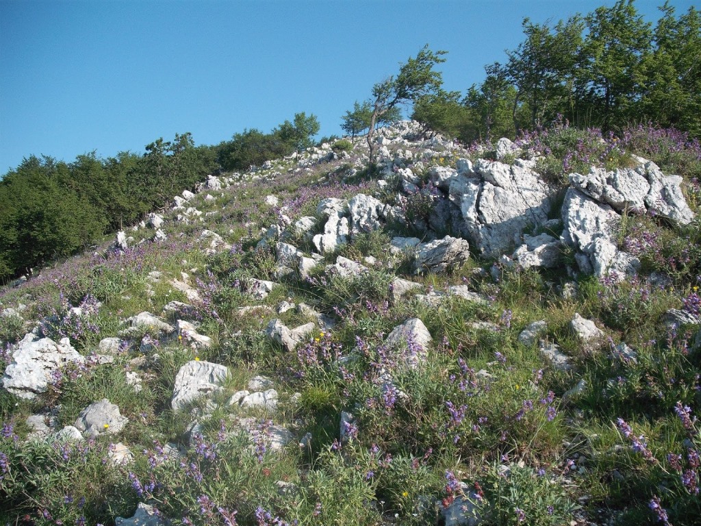 Sentieri trekking Basso Lazio....e non solo MONTE REVOLE