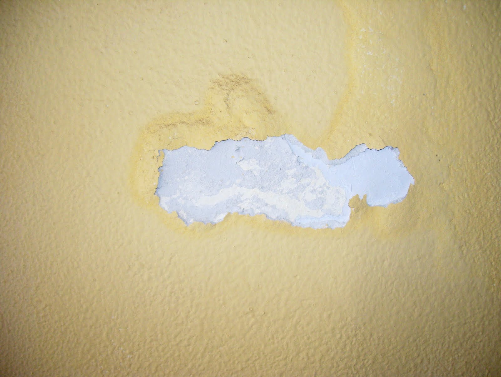 A1 Free Texture and Photos Free Wall Paint Peeling Textures Photos