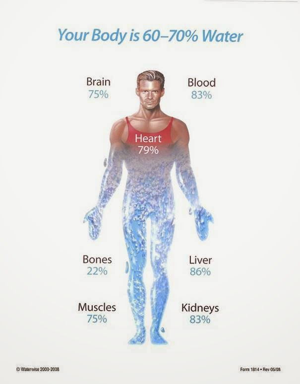 AGAR KEBUTUHAN AIR SEHAT ANDA SETIAP HARI TERPENUHI, INI SYARATNYA!!