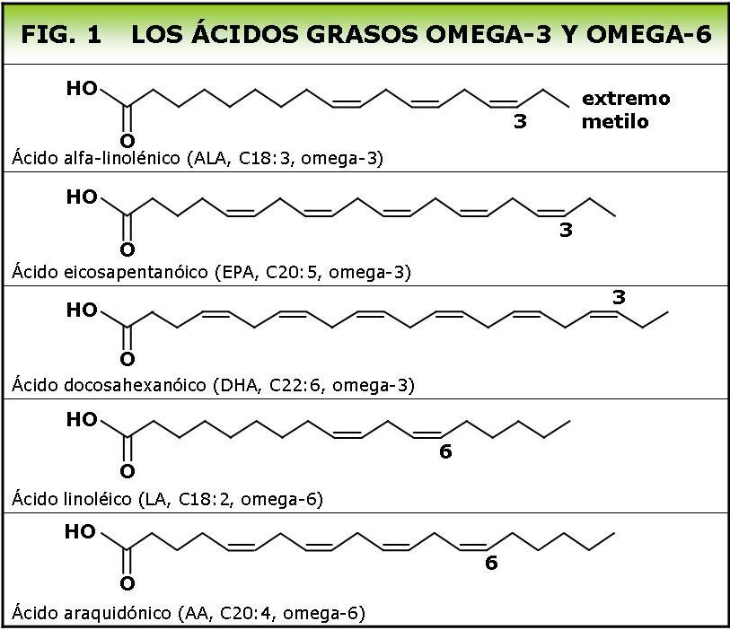 BioquímicaFarmacia_ Ricardo Quintero junio 2016