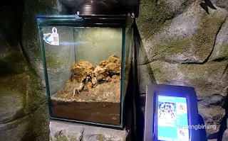 jakarta aquarium neo soho