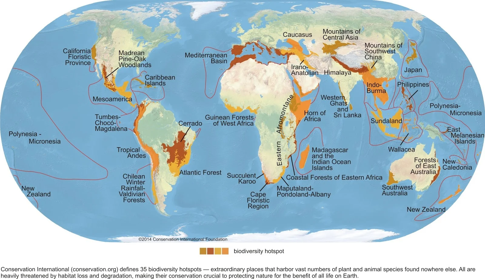 Biodiversity Hotspots