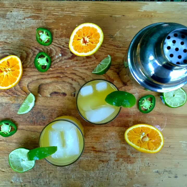 The Style Dossier SKINNY Tequila Cocktail