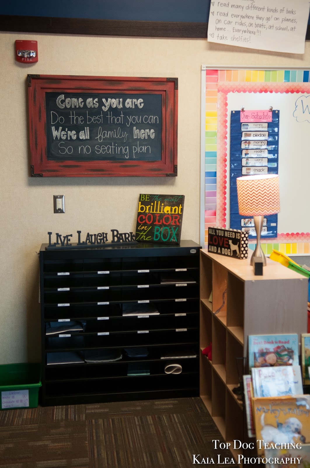 Top Dog Teaching Classroom Design Inspiration