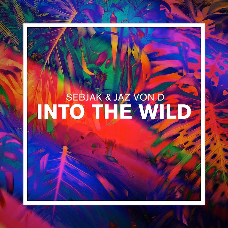 into the wild ultra records