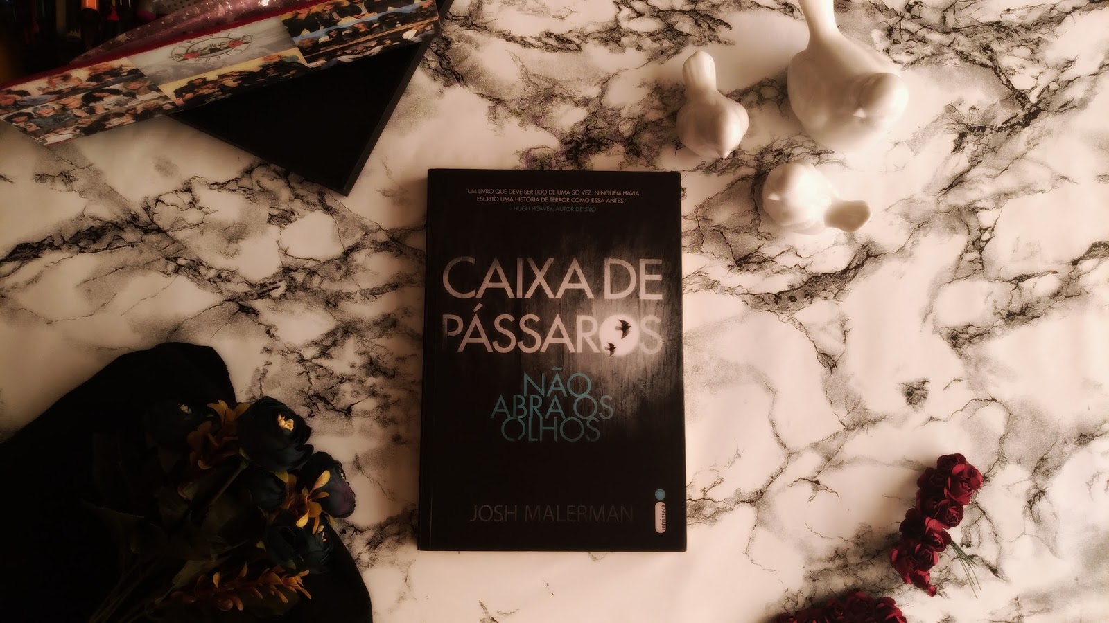 Caixa de Pássaros Josh Malerman