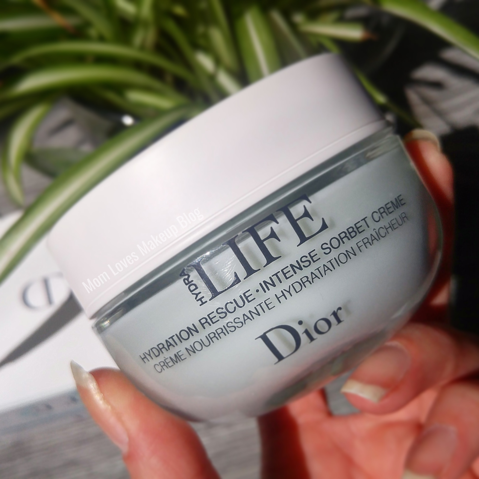 dior hydra life sorbet creme review