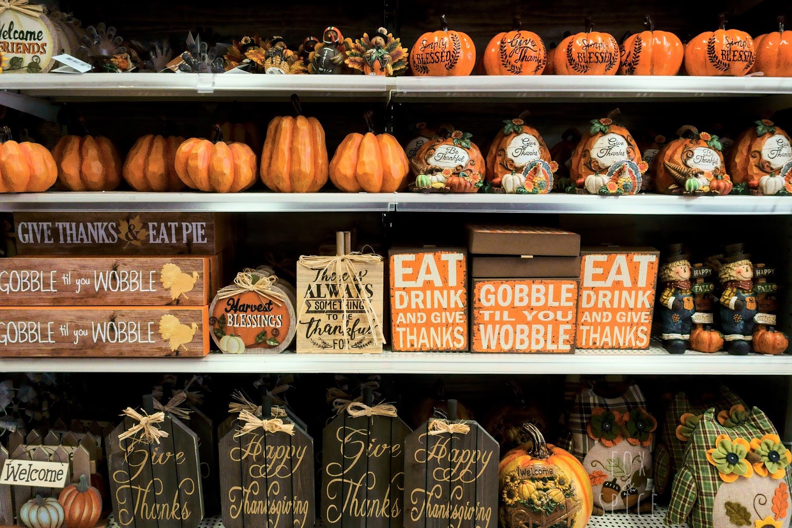 Fox And Spice Fall Finds Michael S 2017