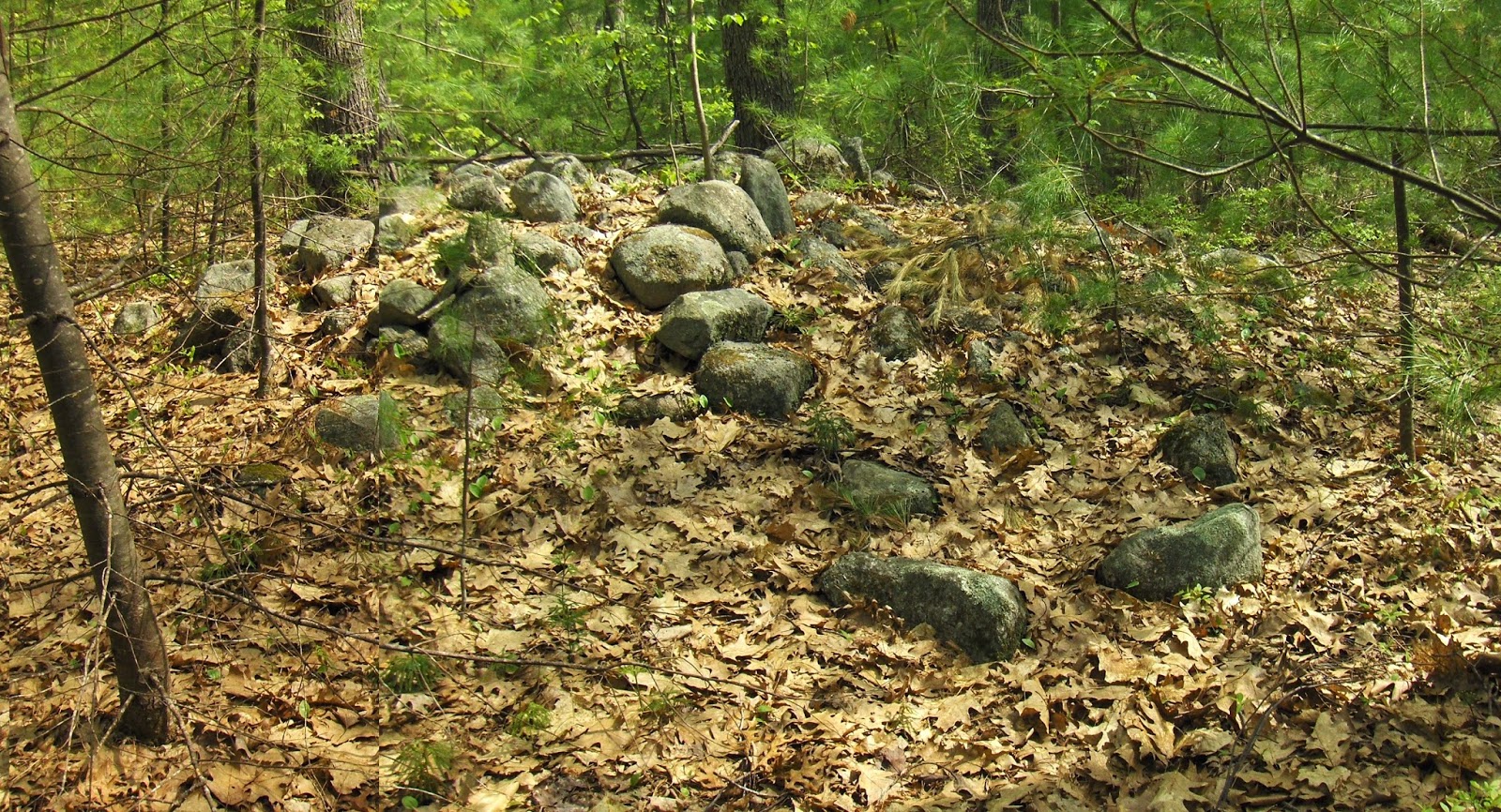 pond-outlet.jpg pond-outlet.jpg