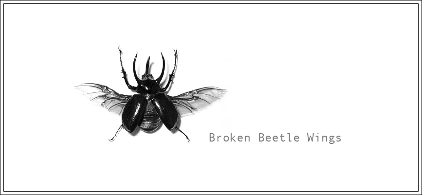 Broken Beetle Wings