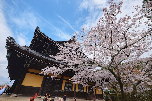 Nanzenji Temple Kyoto cherry blossom spot