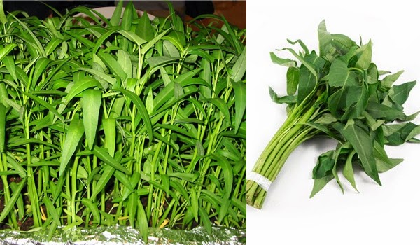 Resep Dapurku Membuat Tumis Kangkung Saus Tiram