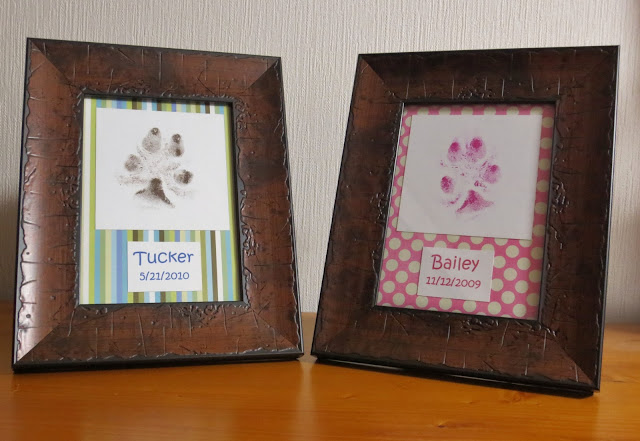 Enmarca la huella de tu mascota 3