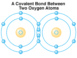 The Covalent Bond