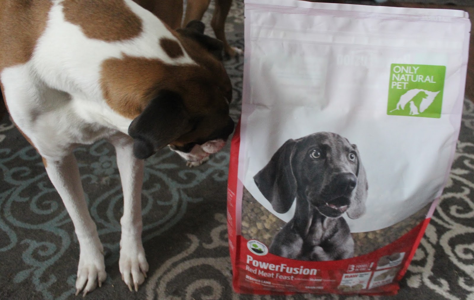 Dog Madness PowerFusion Grain Free Raw Infused Dog Food Is Pawesome