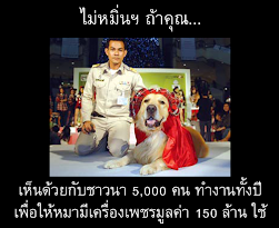 ไม่หมิ่นฯ ถ้าคุณ...