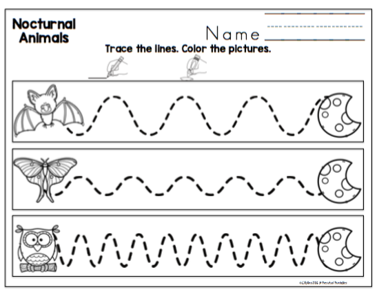 Nocturnal Animals Printable ~ Preschool Printables