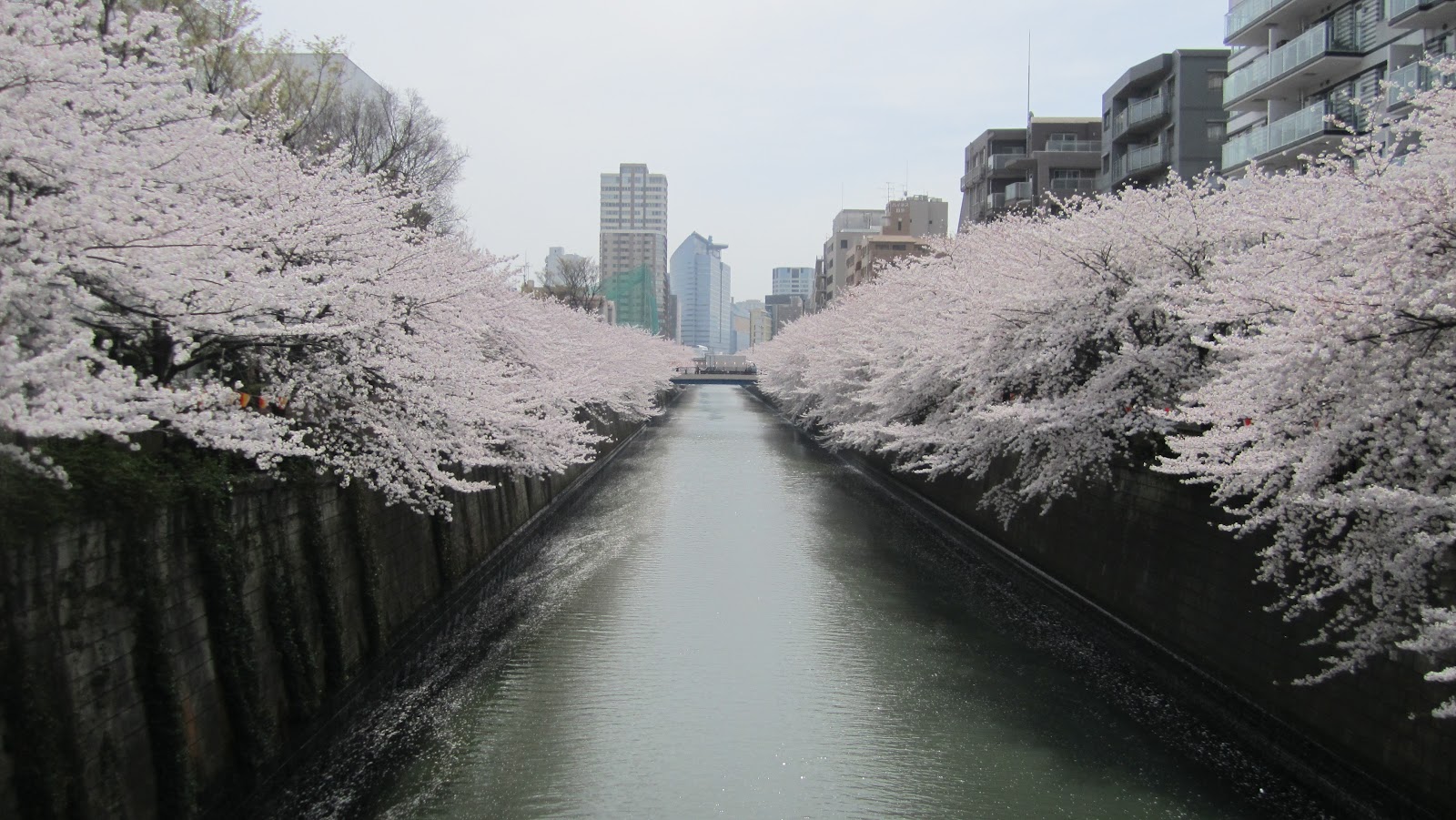 Токио зимой