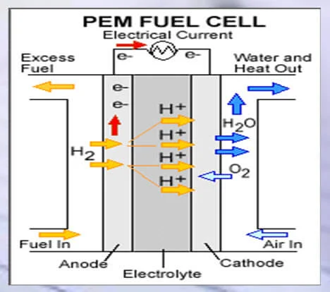 Polymer Exchange Membrane Fuel Cell