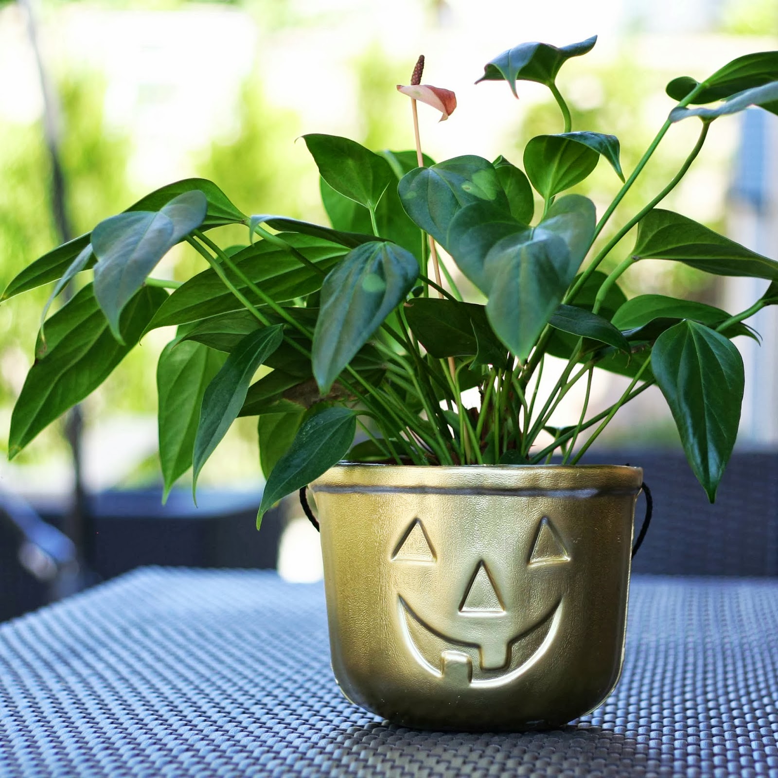 Jack o lantern planter