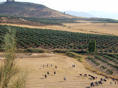 LLegando a los Royos