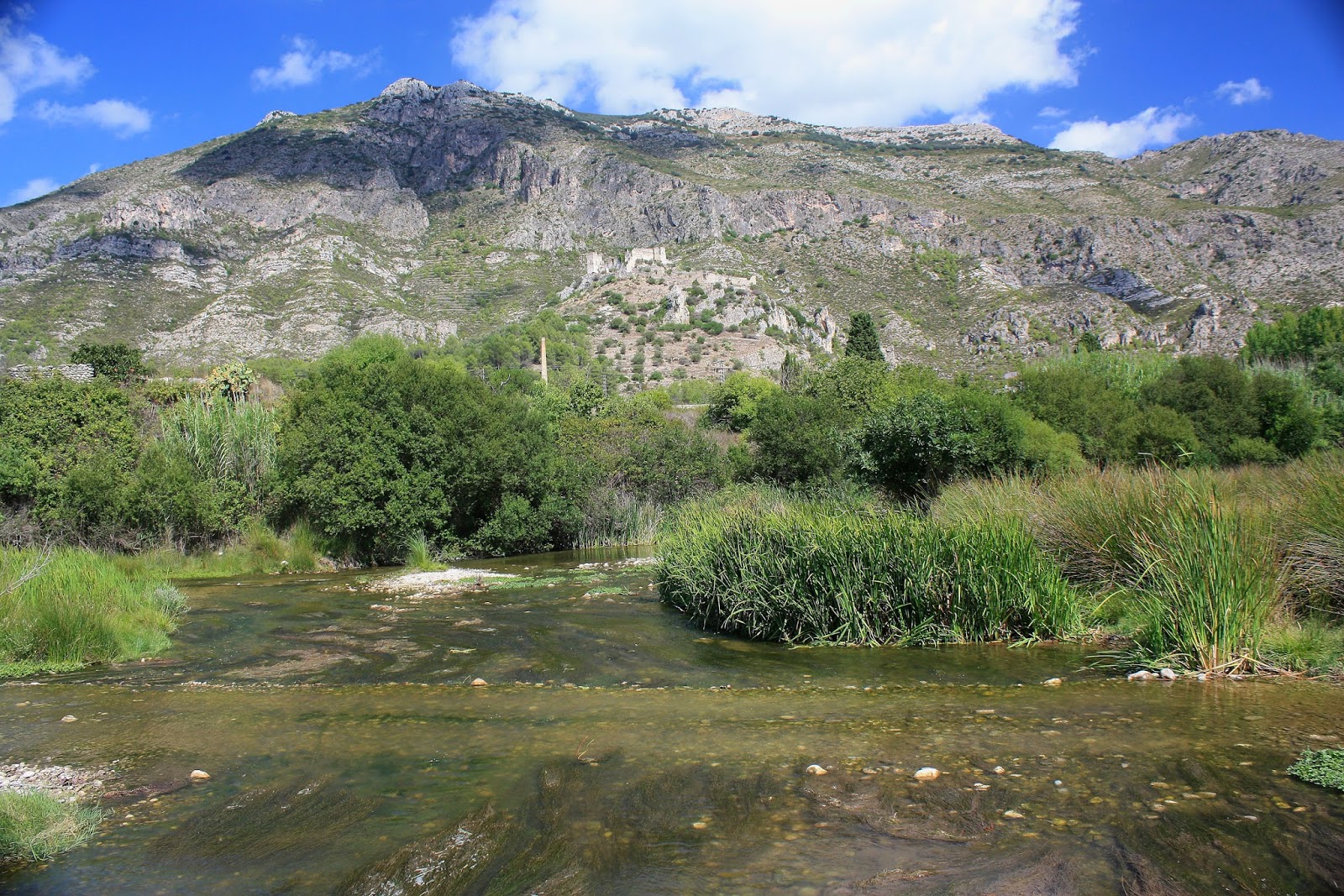 Riu Serpis ( Vall de Perputxent)