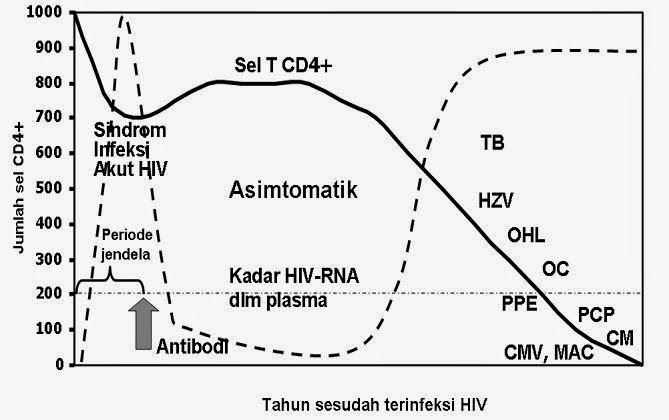 Virus HIV (HUman Immunodeficiency Virus) | Nabiungkangkung