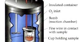 Techno Livestock: Alat-Alat untuk Menentukan Nutrien dan Kelas Energi Pakan