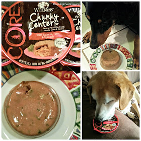 Wellness CORE chunky centers rescue dogs