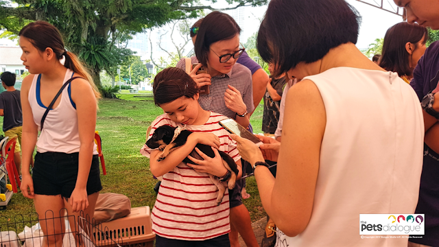 Pet Events in Singapore