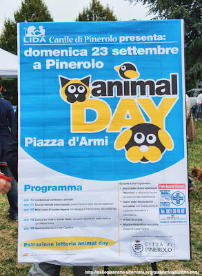 animal_day