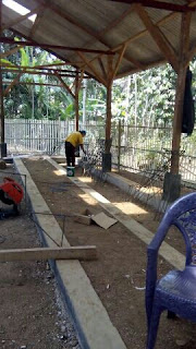 anwar peternak ayam petelur Jual kandang ayam petelur, jual kandang kawat, jakarta, Bekasi, Indramayu, Subang, purwakarta, bandung, tangerang, bogor, cianjur, kediri, malang, purwokerto, kalimantan, sulawesi, bali, sumatra, belitung, bangka, jawa tengah, jawa barat, jawa timur, medan, manado, palu, pare-pare, dumay, probolinggo, , jual kandang ayam petelur, jual kandang batre, Ayam Petelur, peternak ayam, peternak ayam petelur, kandang ayam, kandang ayam petelur, kandang batere, kandang kawat, kandang besi, kandang besi ayam, kandang kawat ayam, kandang kawat ayam petelur, kandang battere, kandang batery, kandang battere, kandang battery,
