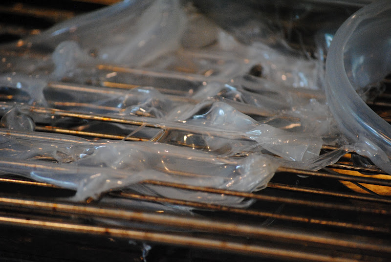 melted plastic on oven racks