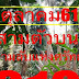 หวยตรัง คำชะโนด สามตัวบน งวด 1/10/61