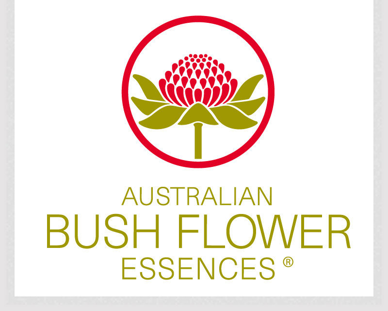 Austalian Bush flower